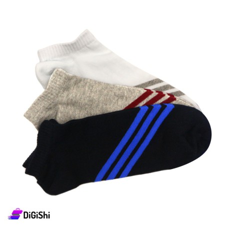 Al Samah Cotton Men Shin Striped Socks Set - 3 Pairs Group 2