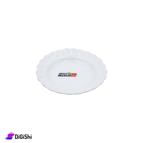 Plastic Plate Plastic Plate