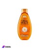 Garnier Shower Gel