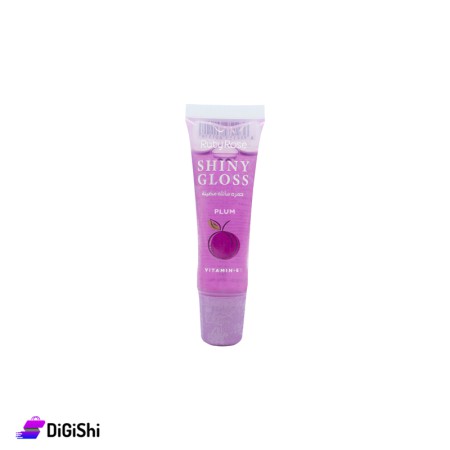 Ruby Rose Shiny Gloss HB 2018H - Plum