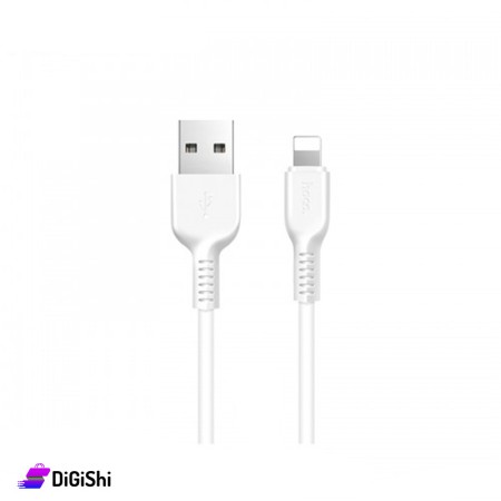 HOCO X20 iPhone Cable