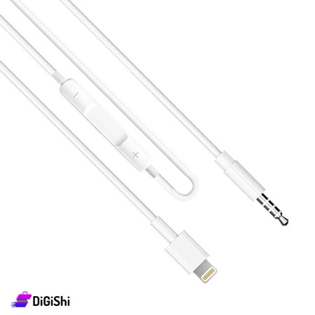 Earldom AUX42 Lightning to AUX Cable