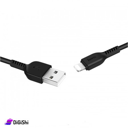 HOCO X20 iPhone Cable