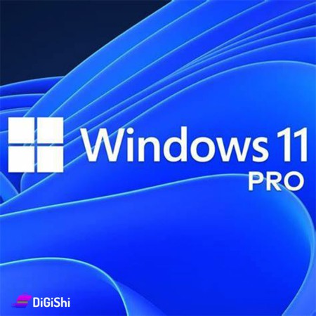 Windows 11 Pro Operating System Software