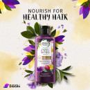 Herbal Essences Shampoo with Rice Milk Extract
