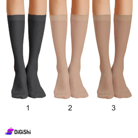Al Samah Pairs of Women's Short Matte Lycra Socks