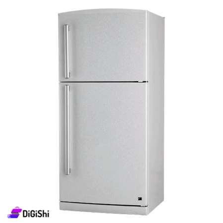 HILIFE Brand Stainless Steel Refrigerator Air Cooled Joker NF Model With Inverter, 22 Feet High