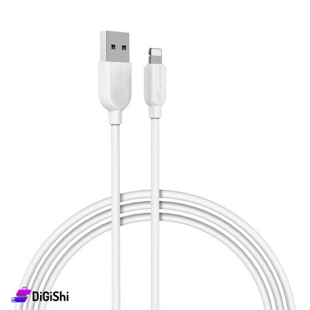 BOROFONE BX14 iPhone Cable
