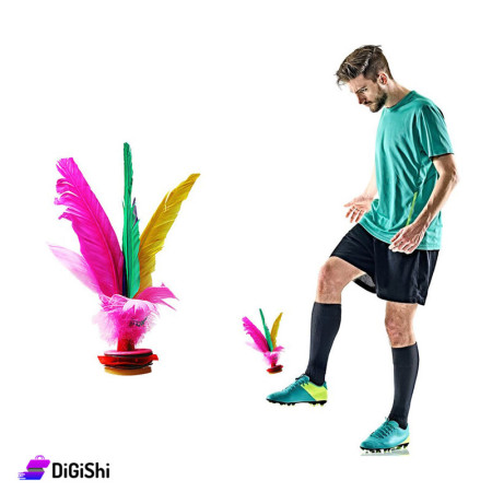 عرض كرة قدم الريشة