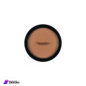 Pierre René Compact Powder Professional 17