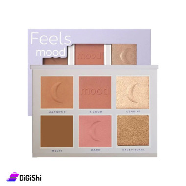 Ruby rose Feels Mood Blush and Illuminator Palette HB-7524