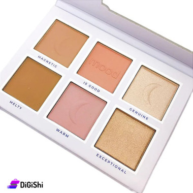 Ruby rose Feels Mood Blush and Illuminator Palette HB-7524