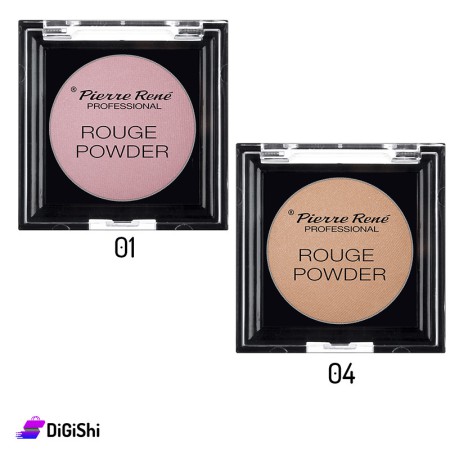 Pierre René Rouge Powder Professional 01-04