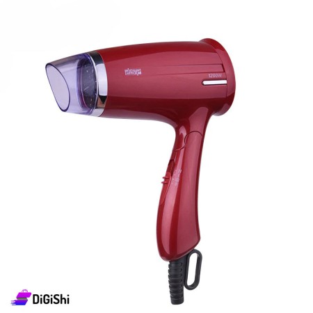 DSP Portable Hair Dryer F-30031