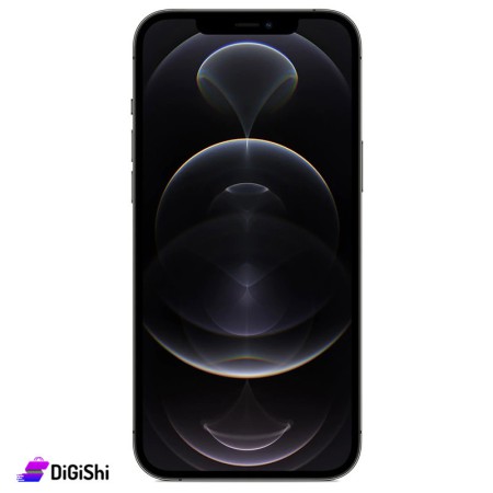 موبايل Apple iPhone 12 Pro Max 6/256 GB 2 SIM (2020)