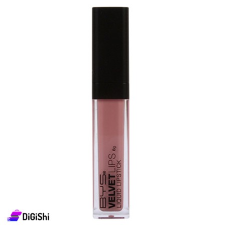 BYS Velvet Lipstick - 25 Cinnamon Donut