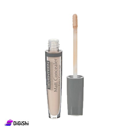 SEVENTEEN Concealer