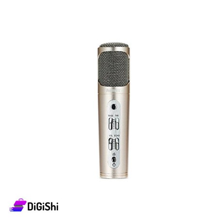 Microphone REMAX RMK-K02