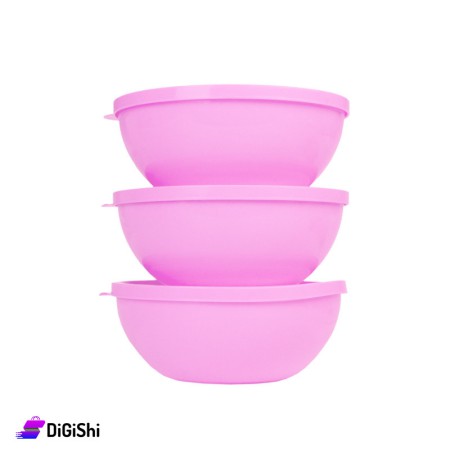 Rainbow Bowls Set with Lid 1910 - Pink