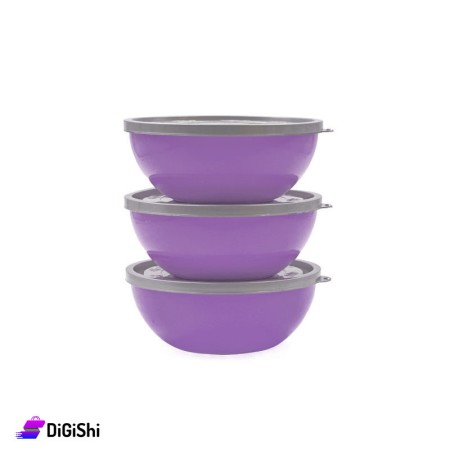 Rainbow Bowls Set with Lid 1910 - Purple