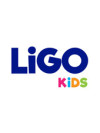 LIGO